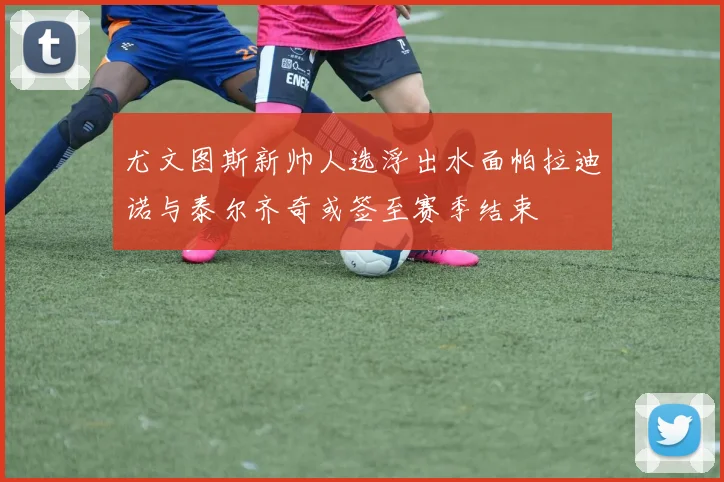 尤文图斯新帅人选浮出水面帕拉迪诺与泰尔齐奇或签至赛季结束