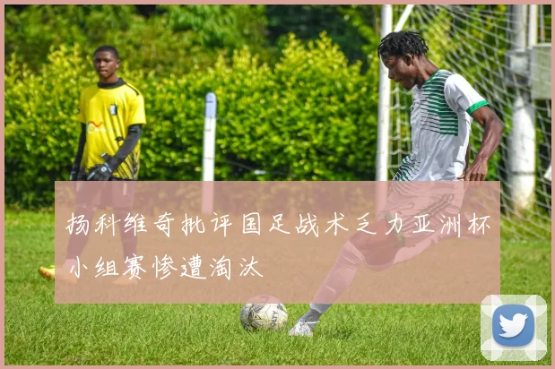 扬科维奇批评国足战术乏力亚洲杯小组赛惨遭淘汰