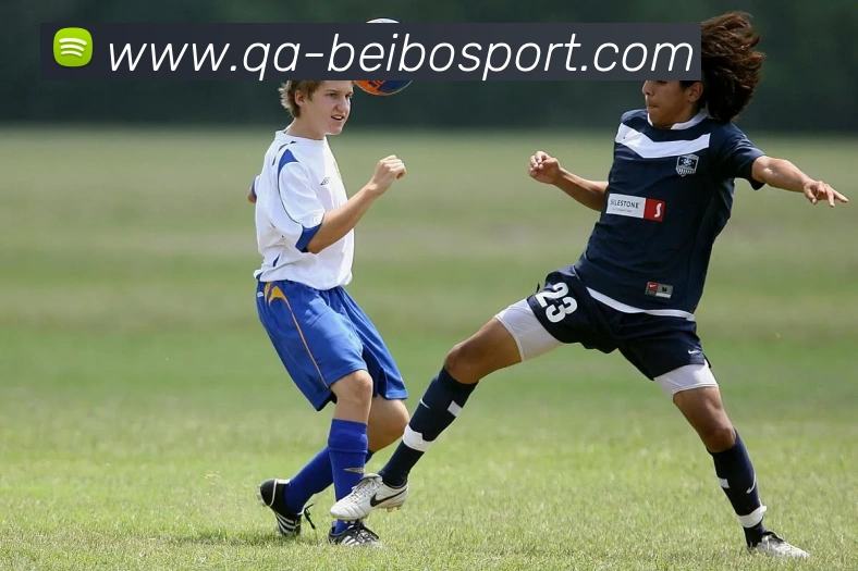 贝博足球APP 封面图