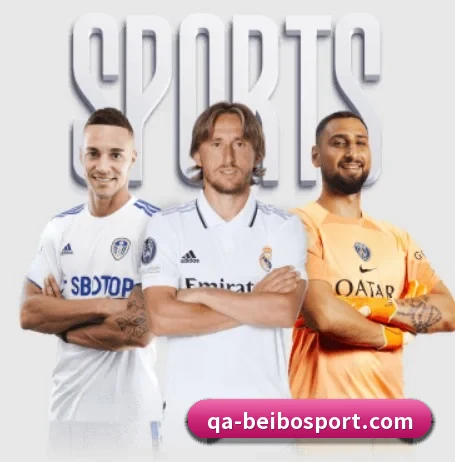 我们在做什么(BEIBOSPORTS)